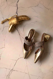 MULE CECÍLIA - couro champagne e prata velho